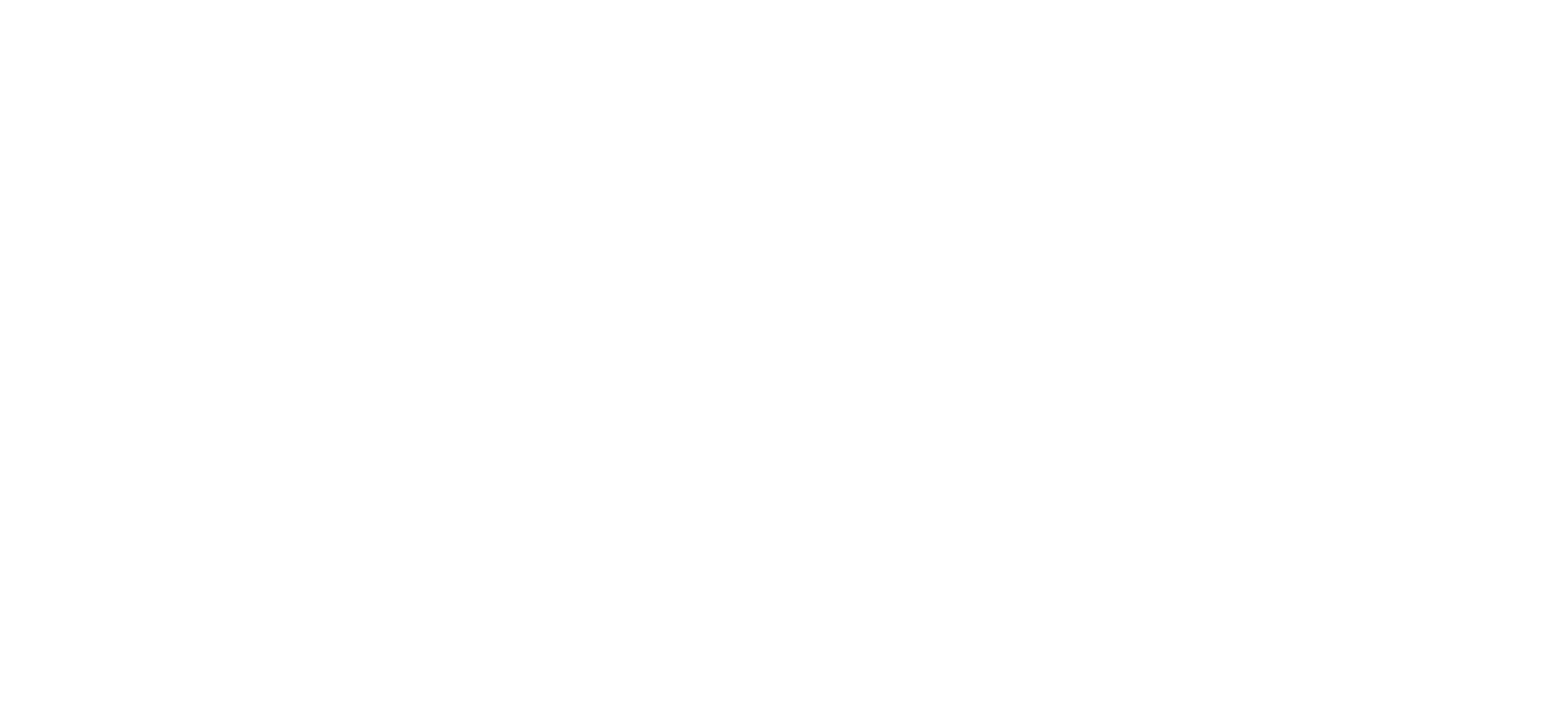 DigiPoints